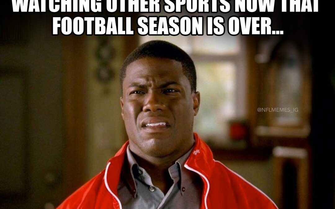 ANOTHER NFL SEASON IS ENDING. UGH!